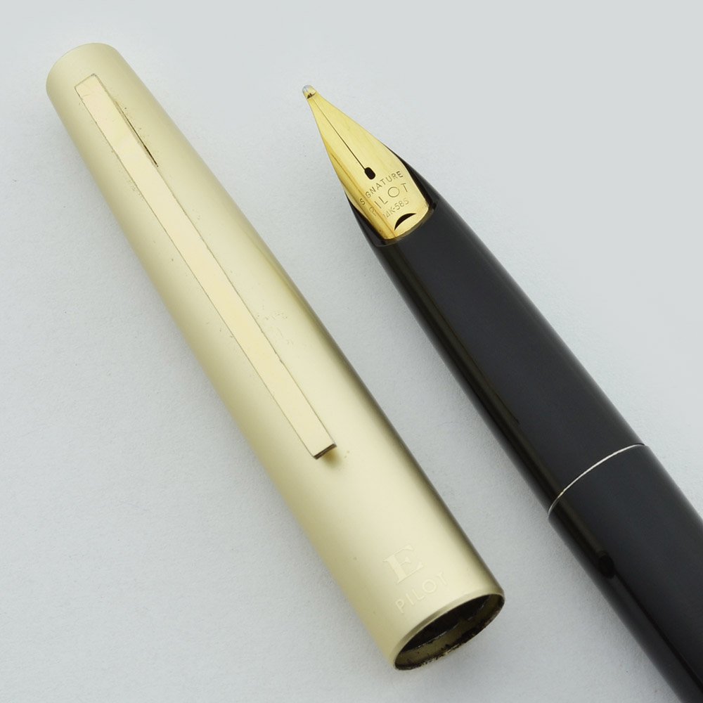 万年筆 14k PILOT MADE Pen Lee TY - crafts traditional Japanese Lacquer Gold Dragon PILOT JAPAN IN 筆記具